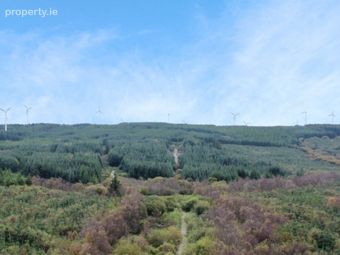 Forestry Land, Cappagh, Kilflynn, Co. Kerry, Kilflynn, Co. Kerry