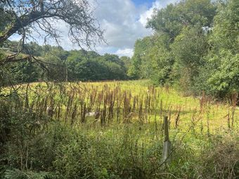 Bahana, Rathdrum, Co. Wicklow - Image 5