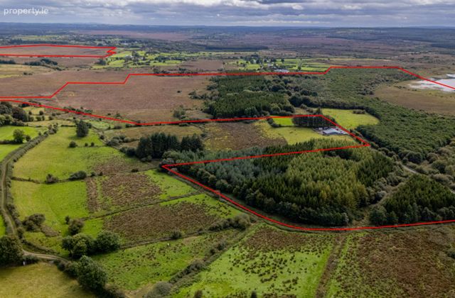 Circa 160-acre Landholding At Clontarsna, Castlerea, Co. Roscommon - Click to view photos