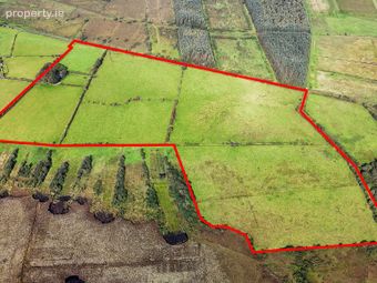 112 Acres At Lehid &amp; Kilcreevanty, Tuam, Co. Galway, Mullagh, Co. Galway - Image 2