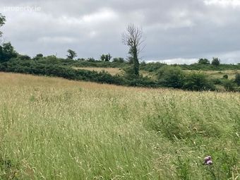 Cloon, Ballyhar, Killarney, Co. Kerry - Image 3