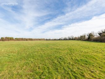 Laragh Demesne, Maynooth, Co. Kildare, Laragh, Co. Kildare - Image 5