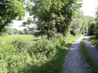 Calfstown, Carbury, Co. Kildare, Carbury, Co. Kildare - Image 4