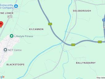 Moyne Lower, Enniscorthy, Co. Wexford, Enniscorthy, Co. Wexford - Image 3