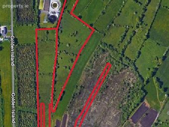Agricultural Land, Loughandonning, Golden Island, Athlone, Athlone, Co. Westmeath - Image 2
