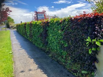 Longford Road (r-194), Ballinalee, Co. Longford - Image 3