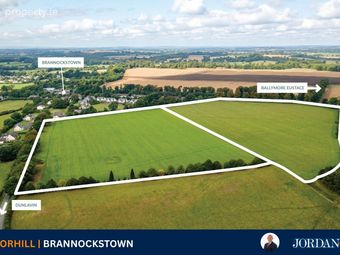C. 32 Acres, Moorhill, Brannockstown, Co. Kildare