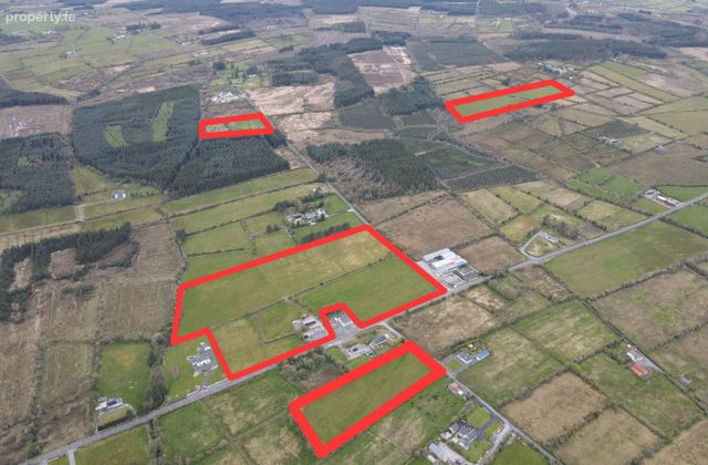 Trien, Castlerea, Co. Roscommon - Click to view photos