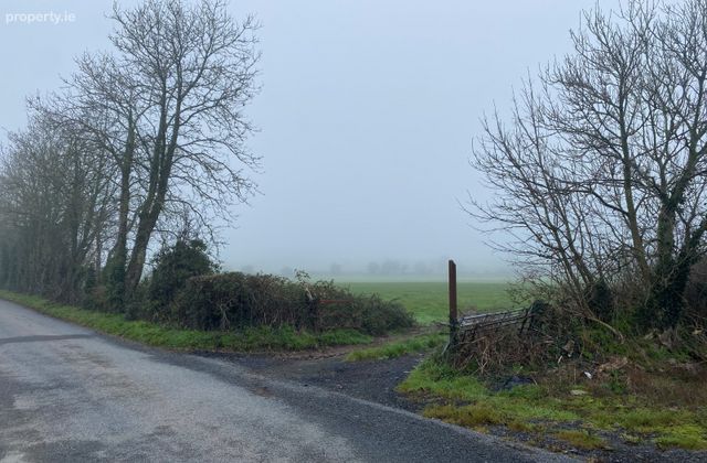 Castlegannon, Mullinvat, Co. Kilkenny, Ballyhale, Co. Kilkenny - Click to view photos