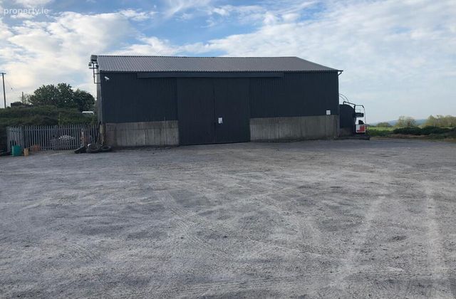 Secure Shed Derryluskin, Fethard, Co. Tipperary, Fethard, Co. Tipperary - Click to view photos