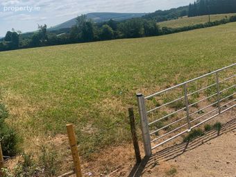 Ballinagilky, Hacketstown, Co. Carlow - Image 2