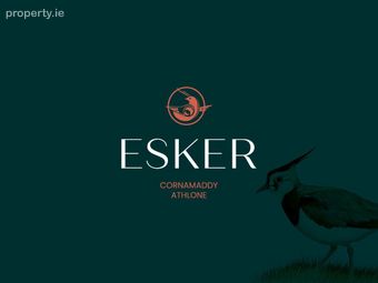 Esker, Cornamaddy, Athlone, Co. Westmeath, Athlone, Co. Westmeath