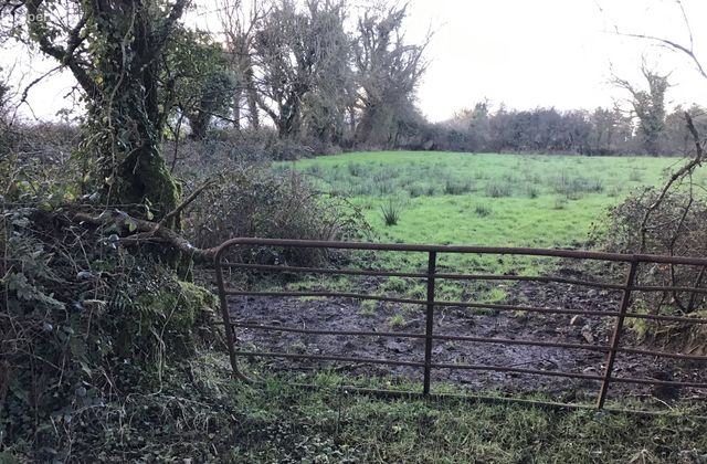 Carrowreagh, Milltown, Co. Galway - Click to view photos
