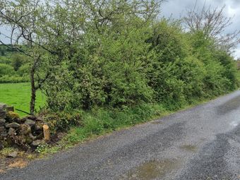 Fahymore, Kilmore, O'Briensbridge, Co. Clare - Image 2