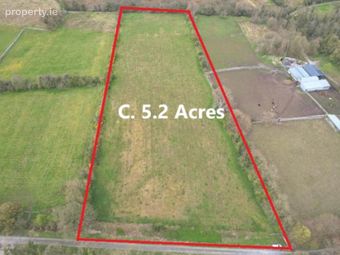 C. 13.65 Acres In 2 Lots, Springfield, Williamstown, Co. Galway, Williamstown, Co. Galway - Image 4