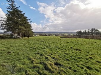 Killasser, Swinford, Co. Mayo, Killasser, Co. Mayo - Image 4