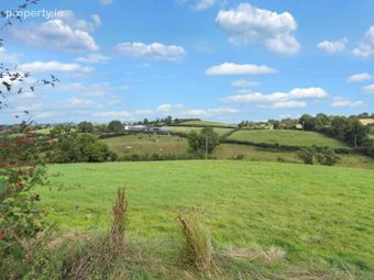 Lot 4 - Crowley, Shercock, Co. Cavan - Image 4