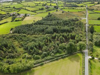 Forestry At Rosduff, Aughnacliffe, Co. Longford - Image 5