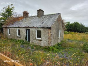 Carlow Road Ballylynan, Athy, Co. Kildare - Image 3