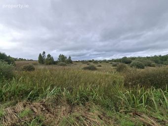 C. 28.89 Acres, Cuilmore, Gurteen, Co. Sligo, Gurteen, Co. Sligo - Image 5