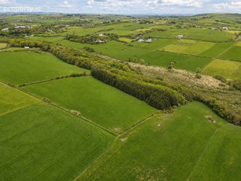 Castlefreke Island, Castlefreke, Co. Cork - Image 3