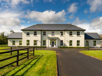 Gort Na Pise, Peafield, Pike Of Rushall, Co. Laois, Pike of Rush Hall, Co. Laois - Image 2