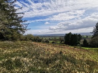 Tullagubbeen, Castleisland, Co. Kerry - Image 5