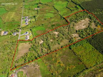 Land For Sale, Carrigeen And Kilgarve, Co. Roscommon, Rooskey, Co. Roscommon - Image 3