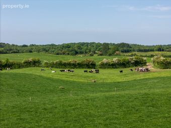 Cappanrush, Kilbeggan, Co. Westmeath, Kilbeggan, Co. Westmeath - Image 3