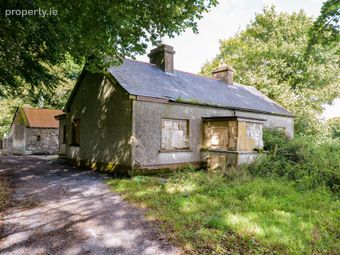 112 Acres At Lehid &amp; Kilcreevanty, Tuam, Co. Galway, Mullagh, Co. Galway - Image 5
