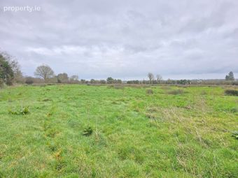 Lisgub, Ballinasloe, Co. Galway - Image 3