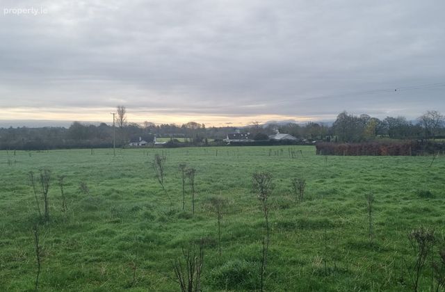 1 X 3.5 Acres Sites Spp, Palatine, Co. Carlow, Palatine, Co. Carlow - Click to view photos