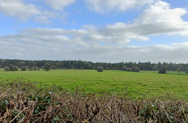 Carrick, Carbury, Co. Kildare - Click to view photos