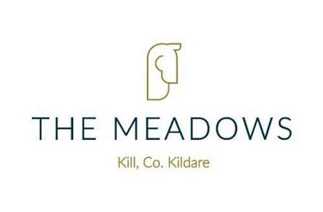 6 Newtown Walk, The Meadows, Kill, Kill, Co. Kildare - Click to view photos