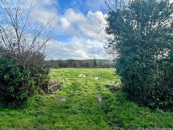Ballydowel, Rathmoyle, Three Castles, Co. Kilkenny - Image 4