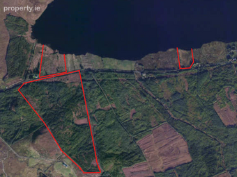 C. 59ac Forestry & Agri Land, Doolough, Mullagh, Co. Clare