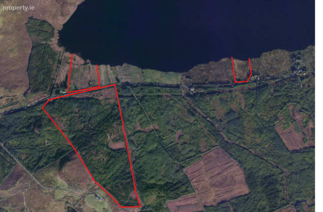 C. 59ac Forestry &amp; Agri Land, Doolough, Mullagh, Co. Clare - Click to view photos