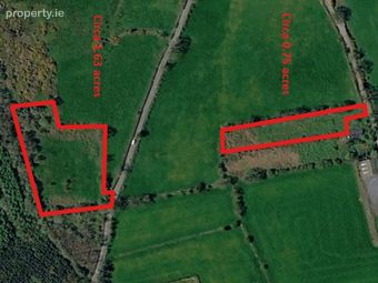 Tomduff, Borris, Co. Carlow., Borris, Co. Carlow