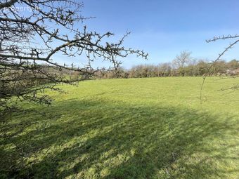Urcher, Bailieborough, Co. Cavan, Bailieborough, Co. Cavan - Image 3