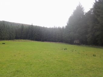 Site B Shielstown, Knockananna, Co. Wicklow