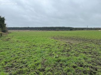 Ballymahon Ed , Ballymahon Municipal District , Co. Longford., Moydow, Co. Longford - Image 5