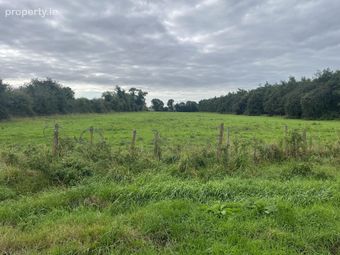 Clonin Lane, Rhode, Co. Offaly - Image 5