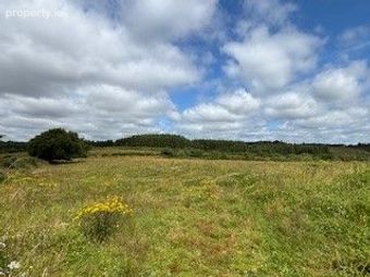 House &amp; Lands Knockreagh, Dysart, V95 Fw50, Mauricesmills, Co. Clare - Image 5