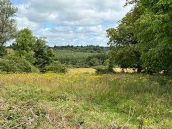House &amp; Lands Knockreagh, Dysart, V95 Fw50, Mauricesmills, Co. Clare - Image 3