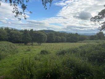 Tomduff, Borris, Co. Carlow., Borris, Co. Carlow - Image 3