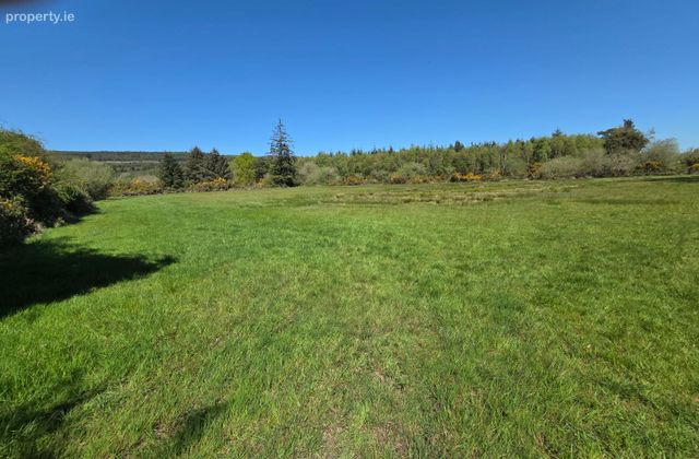 Clogheenafishoge, Ballylooby, Co. Tipperary - Click to view photos