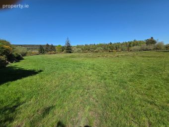 Clogheenafishoge, Ballylooby, Co. Tipperary