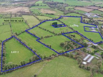 31.32 Acres In Two Lots, Scardaun, Athleague, Co. Roscommon, Athleague, Co. Roscommon