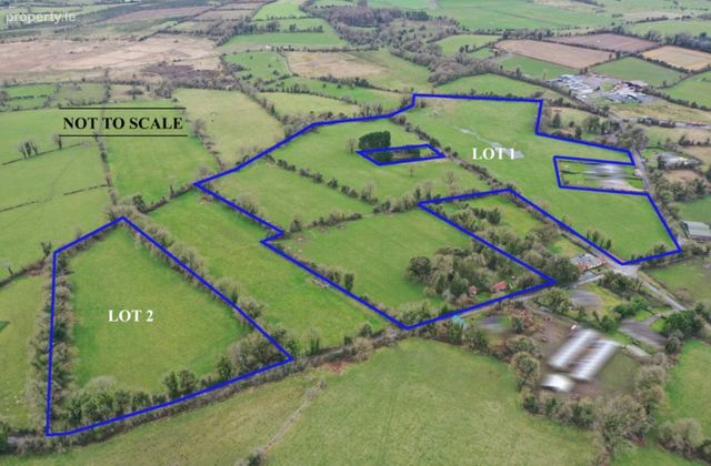 31.32 Acres In Two Lots, Scardaun, Athleague, Co. Roscommon, Athleague, Co. Roscommon - Click to view photos