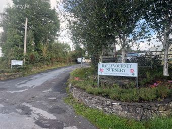 Ballyvourney Nursery Garden Centre, Ballymakeera, Co. Cork - Image 5